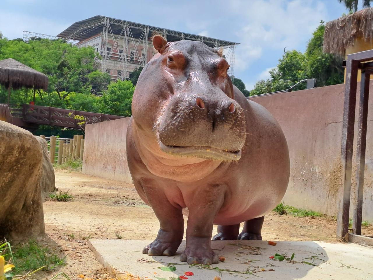 Entrada Bioparque