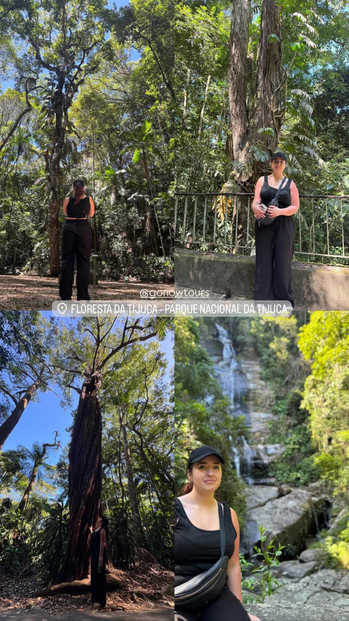 Bosque de Tijuca