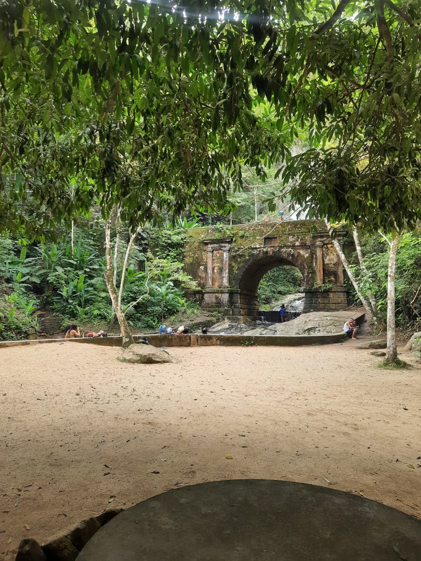 Bosque de Tijuca